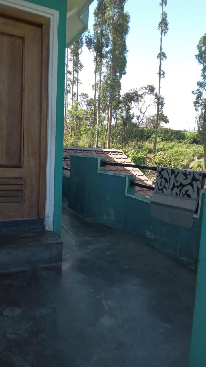 Shane HomeStay