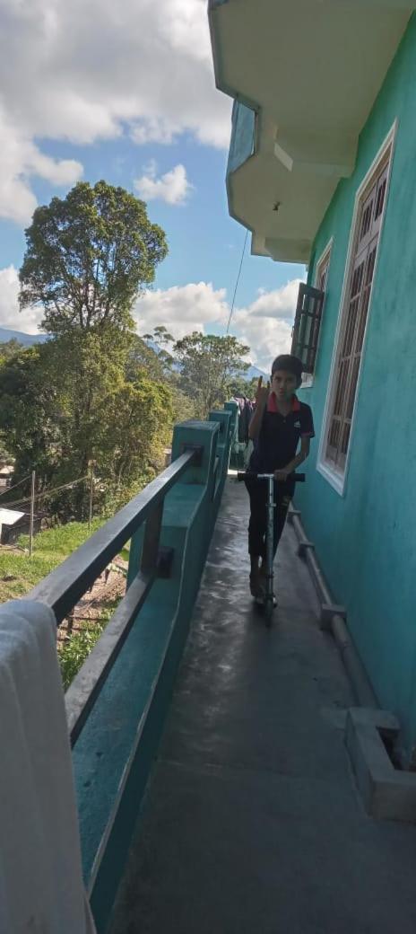 Shane HomeStay