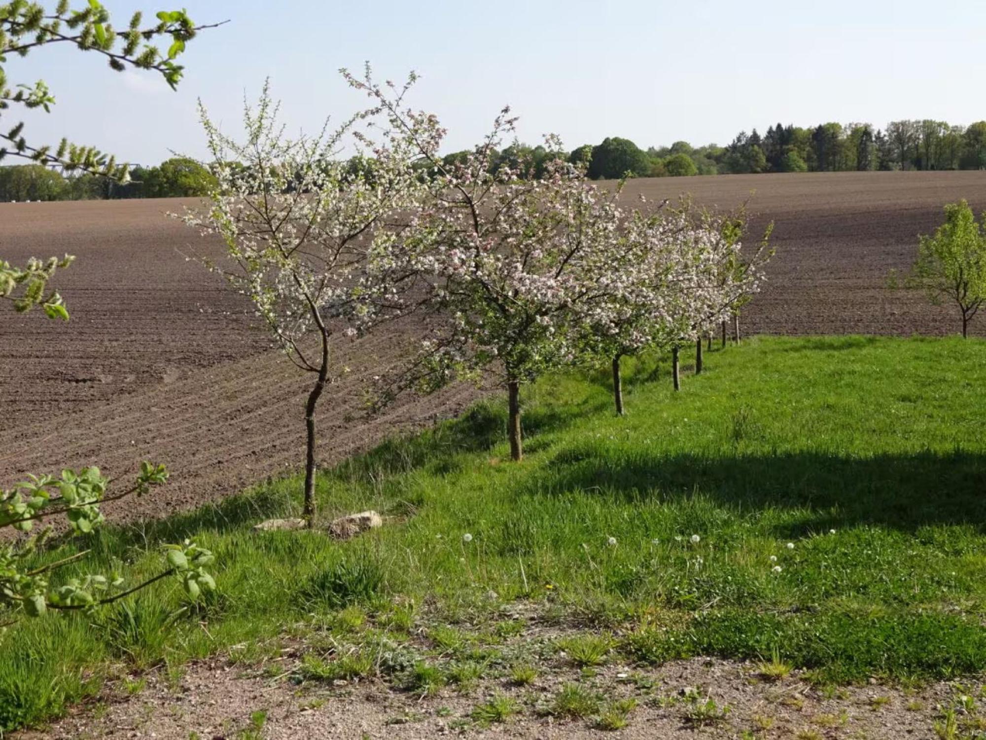 Felderblick oben