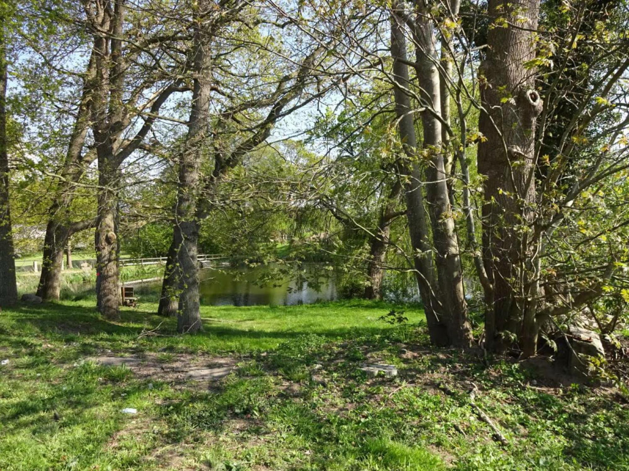 Felderblick oben