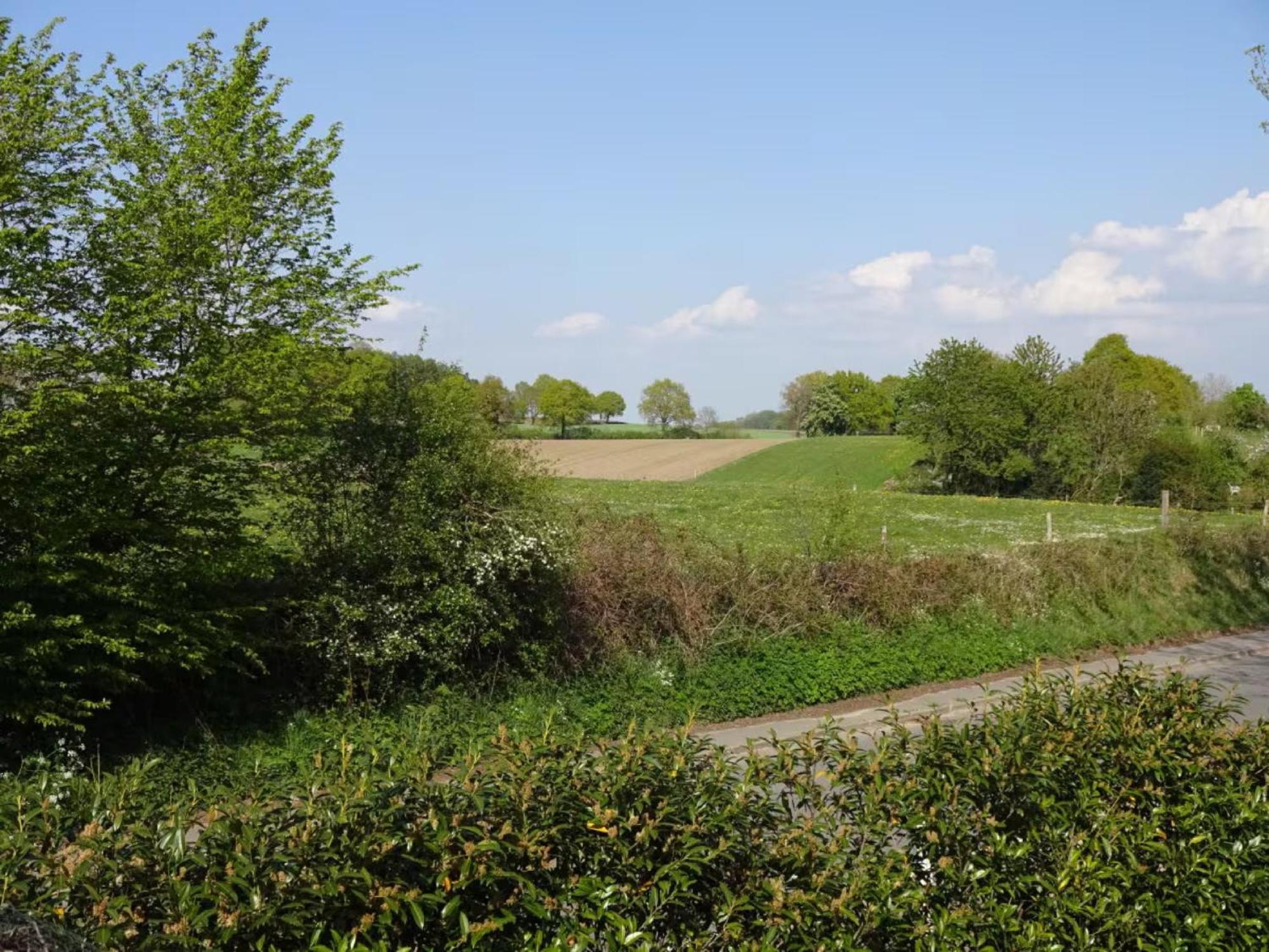 Felderblick oben