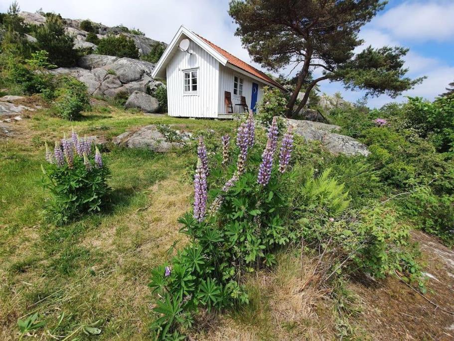 Mysig stuga med havsutsikt på Sydkoster view 4