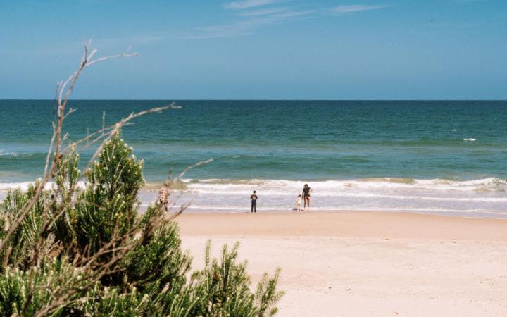 Golden Beach Beauty!