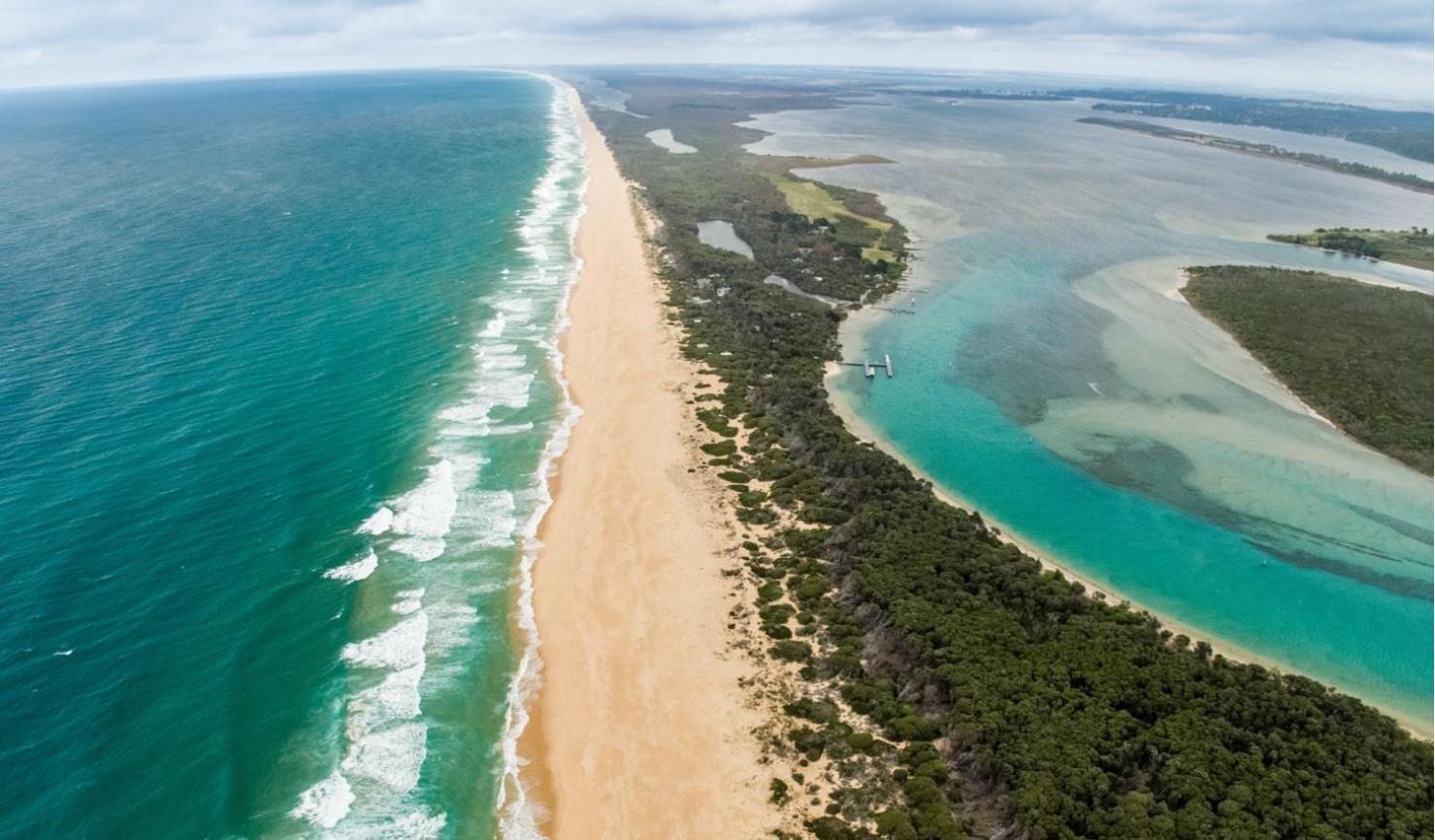 Golden Beach Beauty!