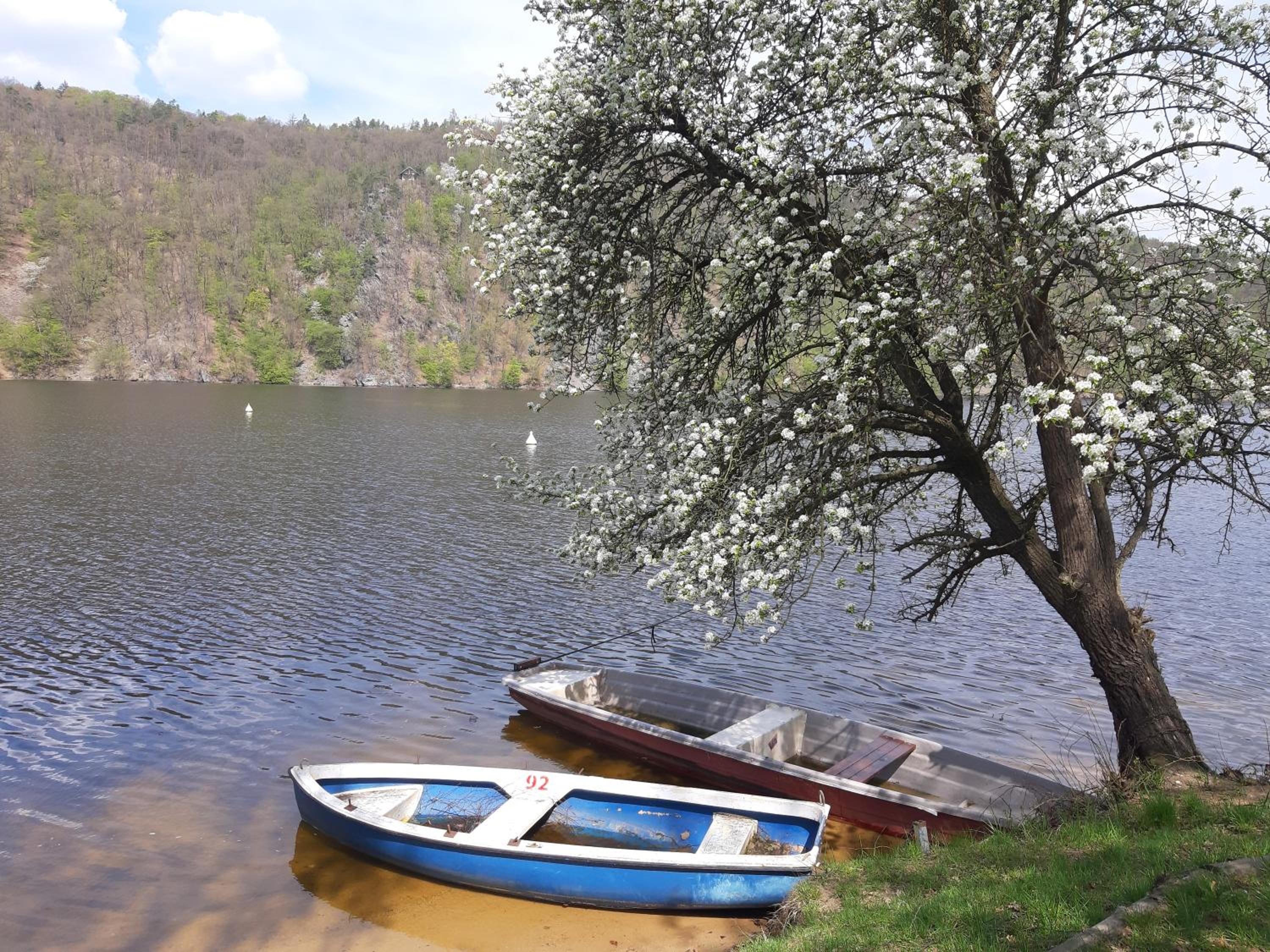 Cottage Nova