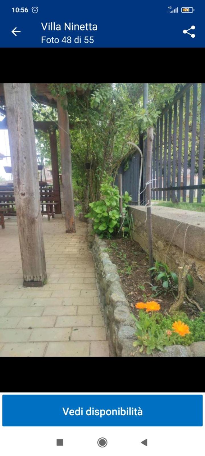 Photo 32