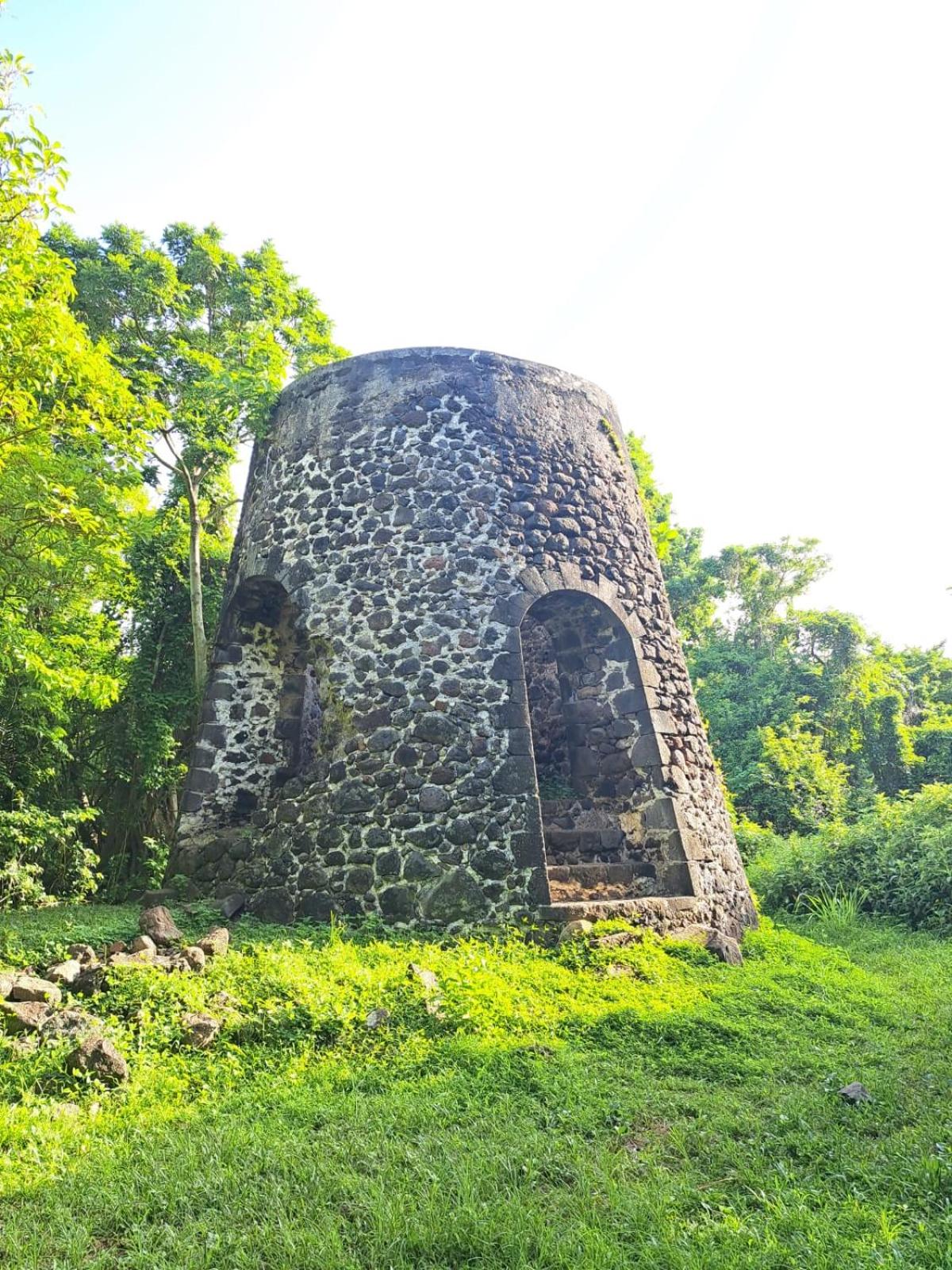Photo 41