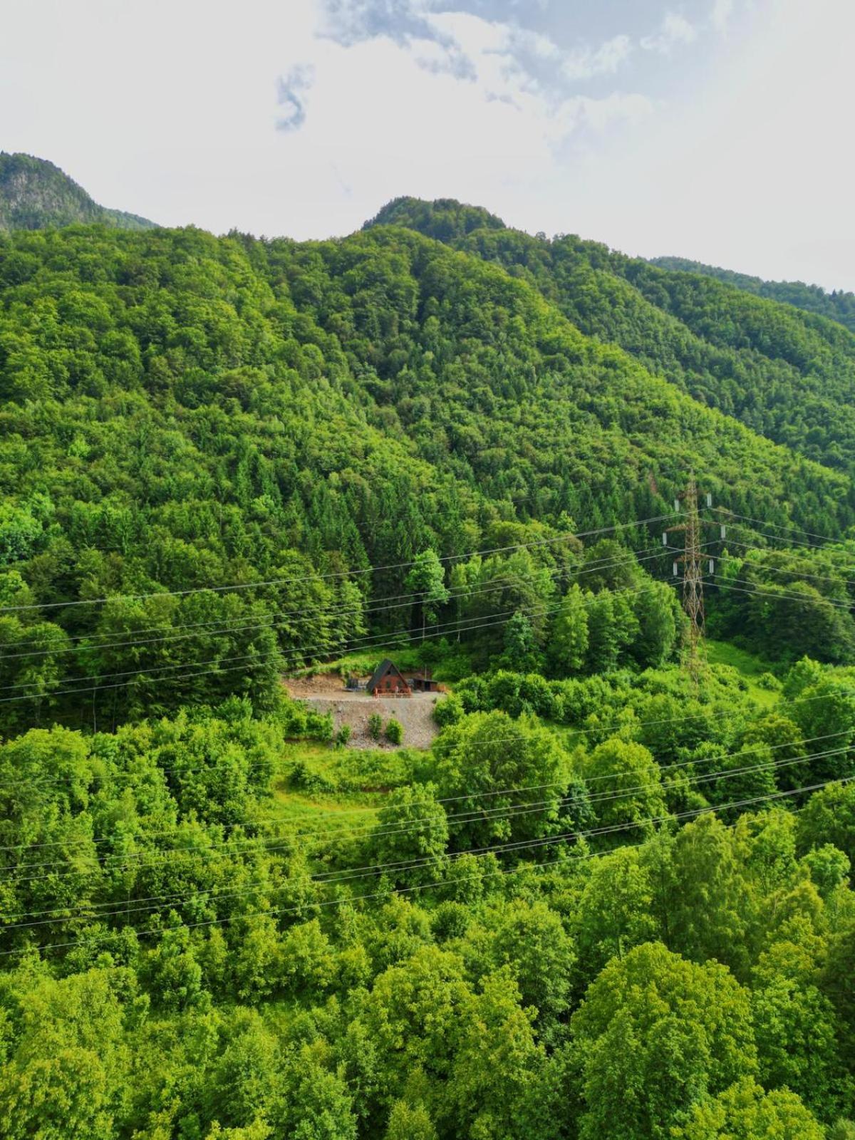 Wild Cabin