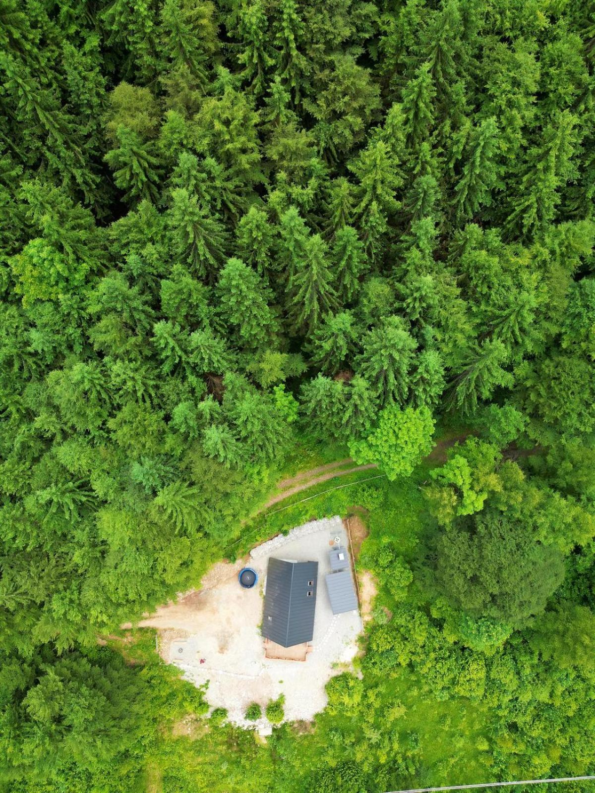 Wild Cabin