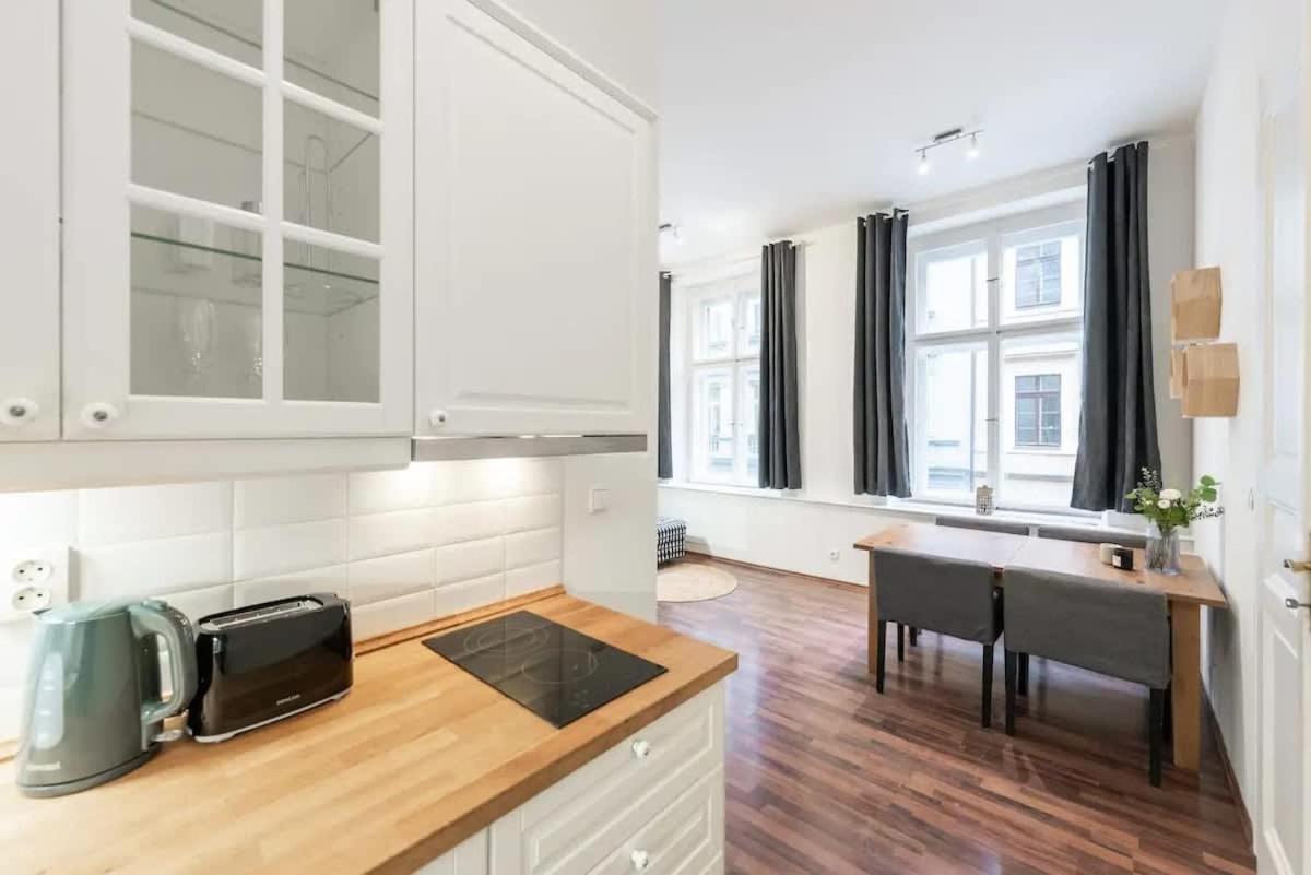 Metropolitan Prague Apt with Amenities