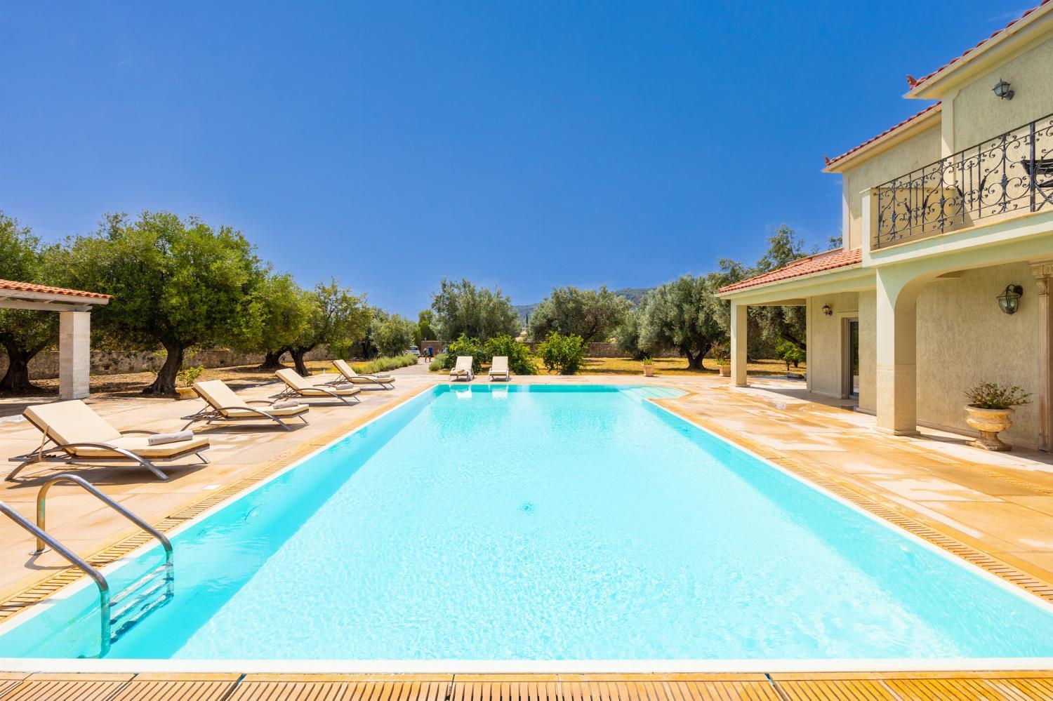 Villa Pomegranate Tree view 2
