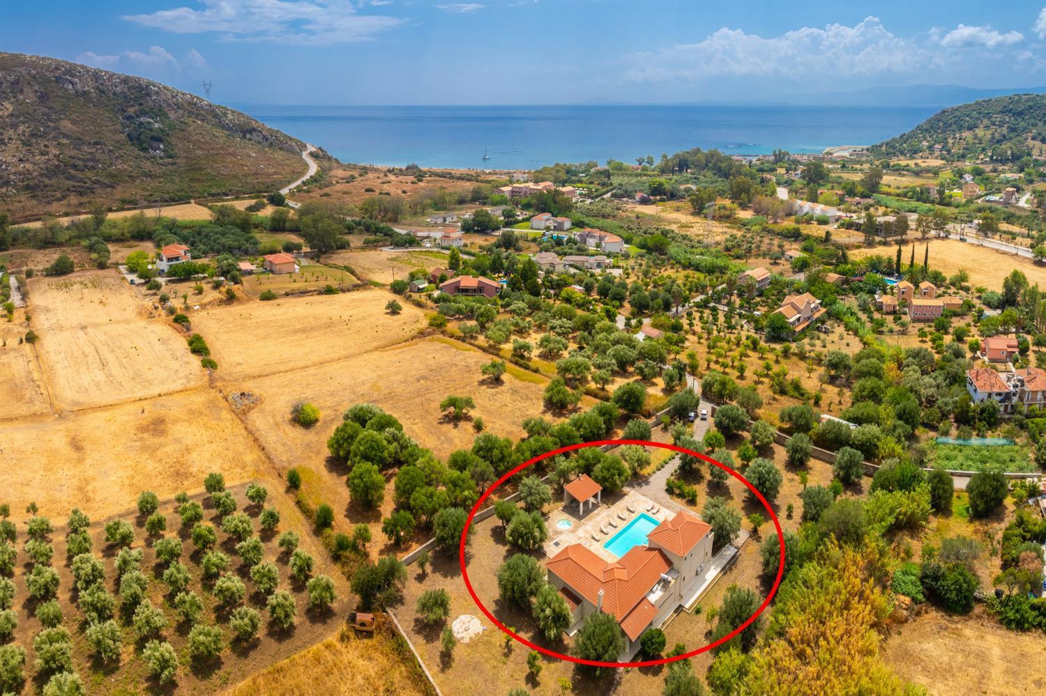 Villa Pomegranate Tree view 3