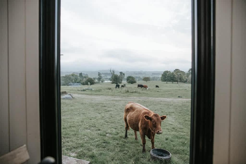Farm Stay Tiny House by Tiny Away