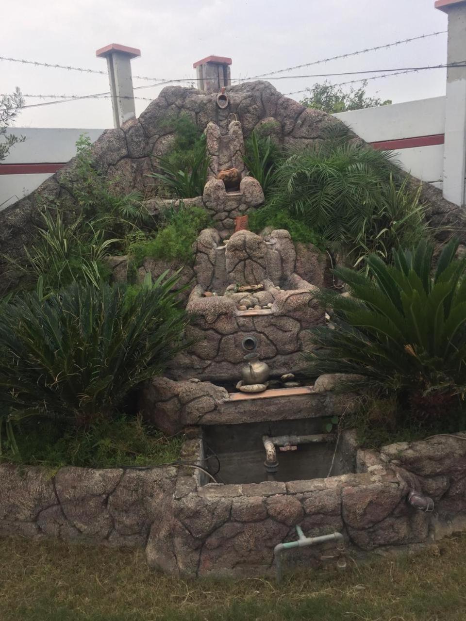 Photo 6