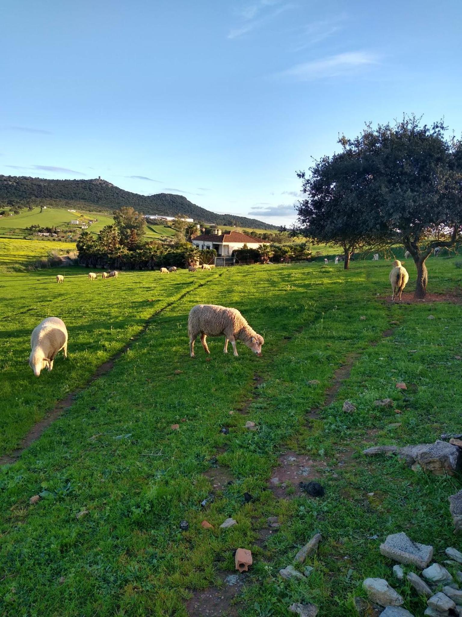 Casa rural los Cuartos