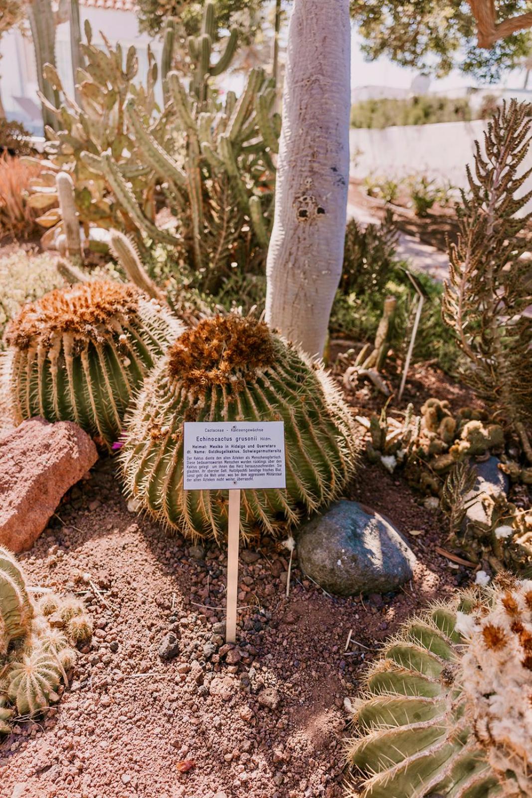 Sierra del Mar