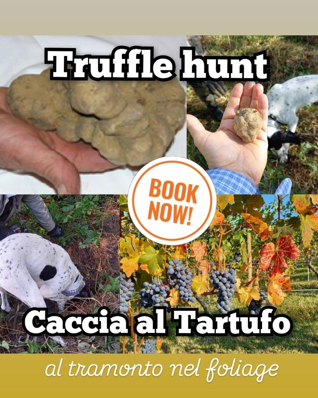 Bed & Tours Dimora di campagna