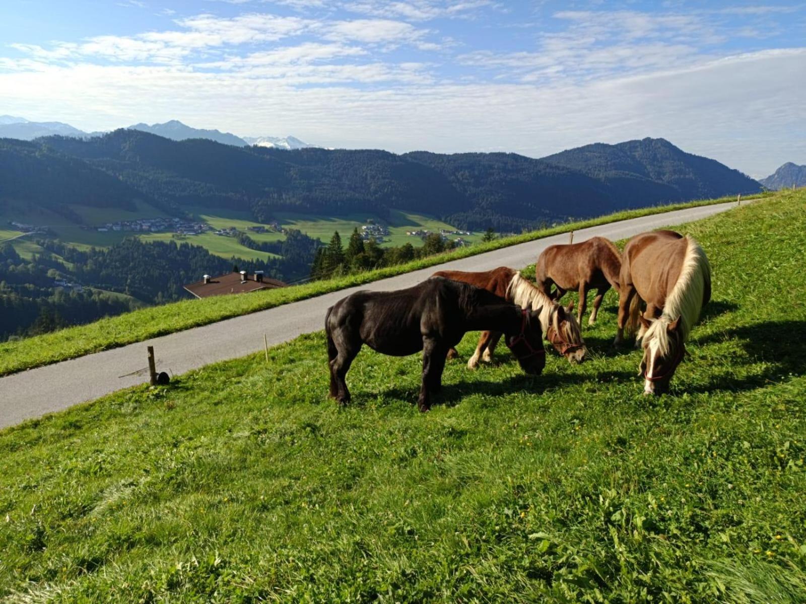 Brandterhof