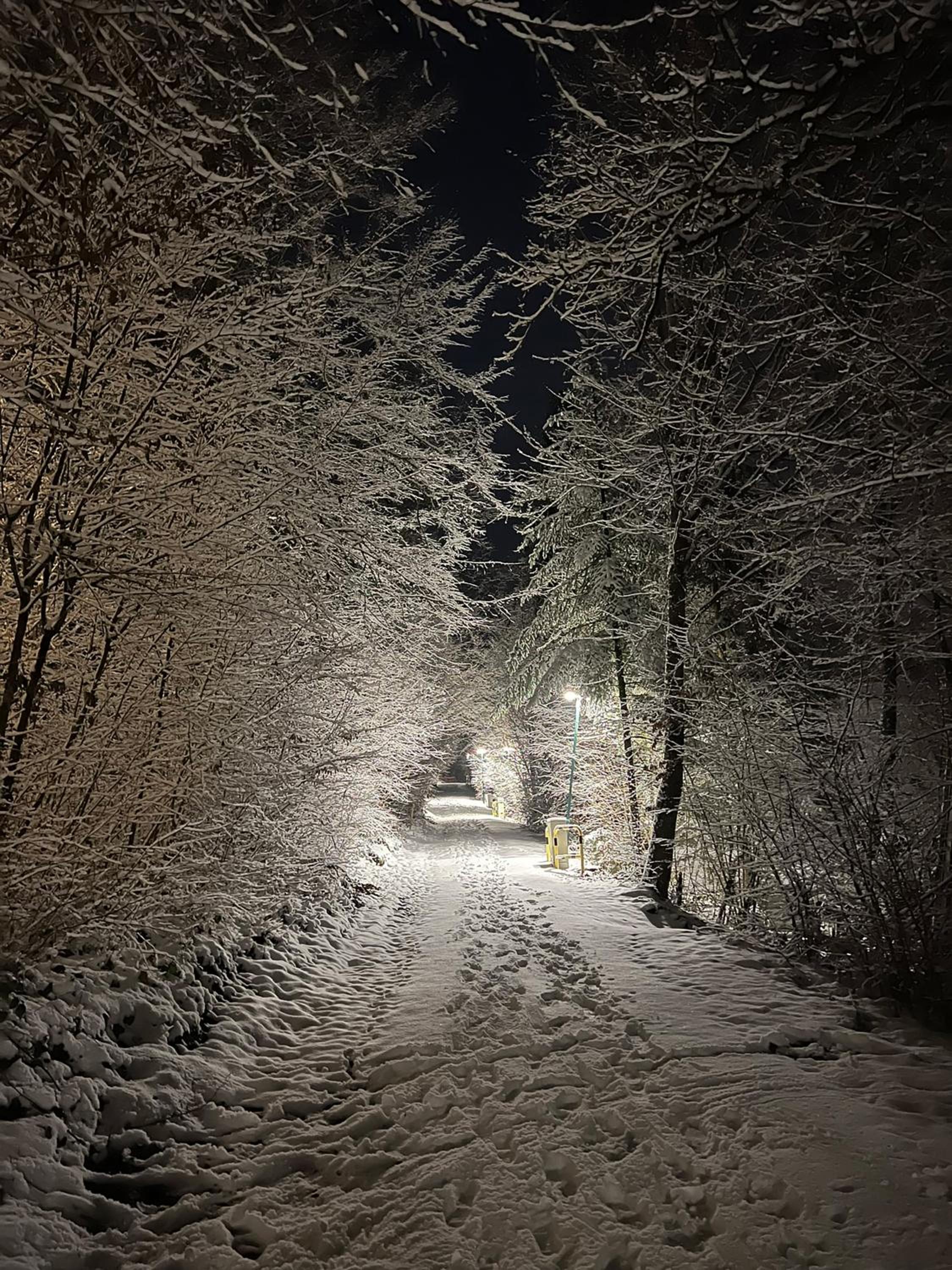 Boszicht Durbuy
