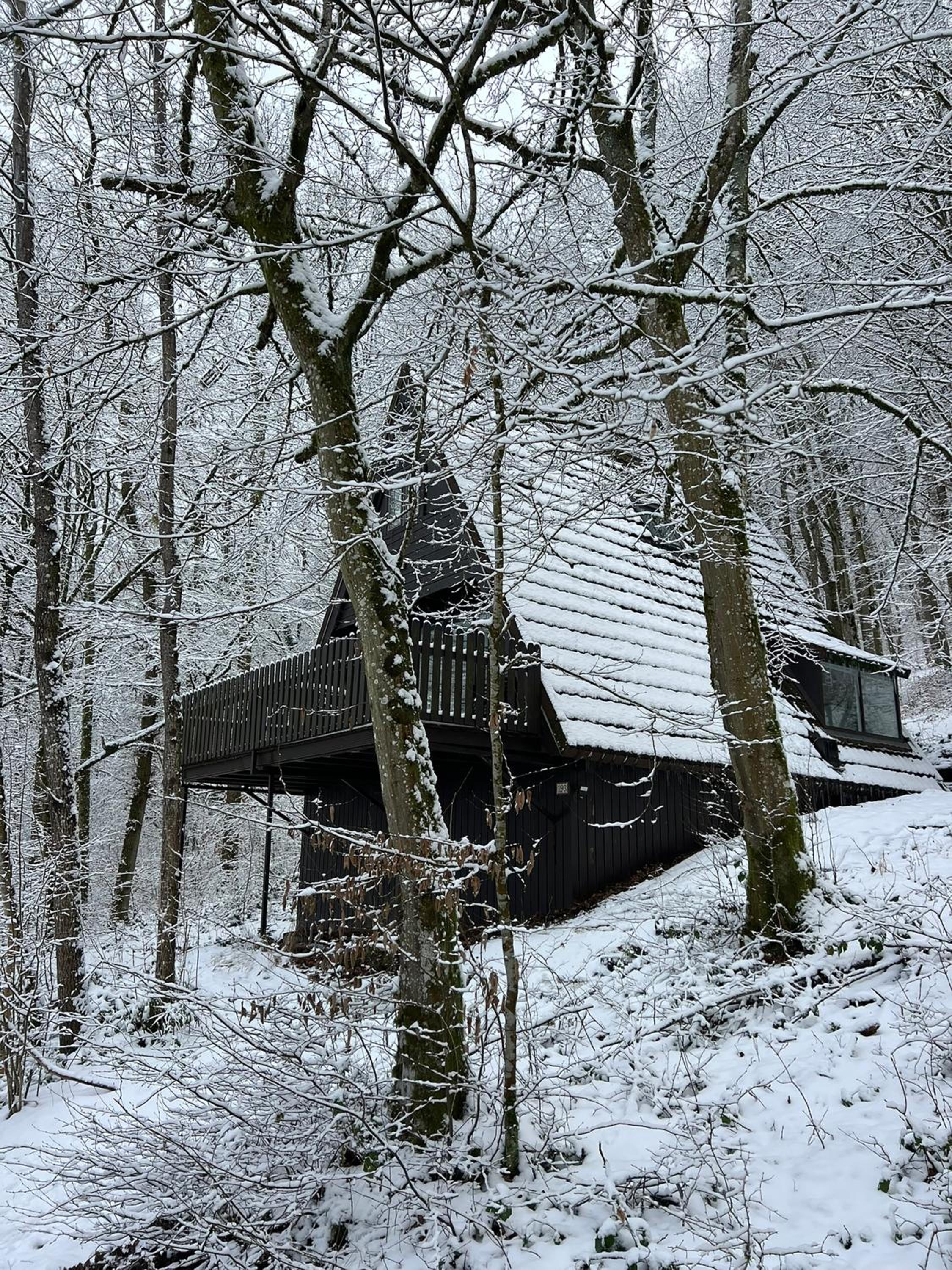 Boszicht Durbuy