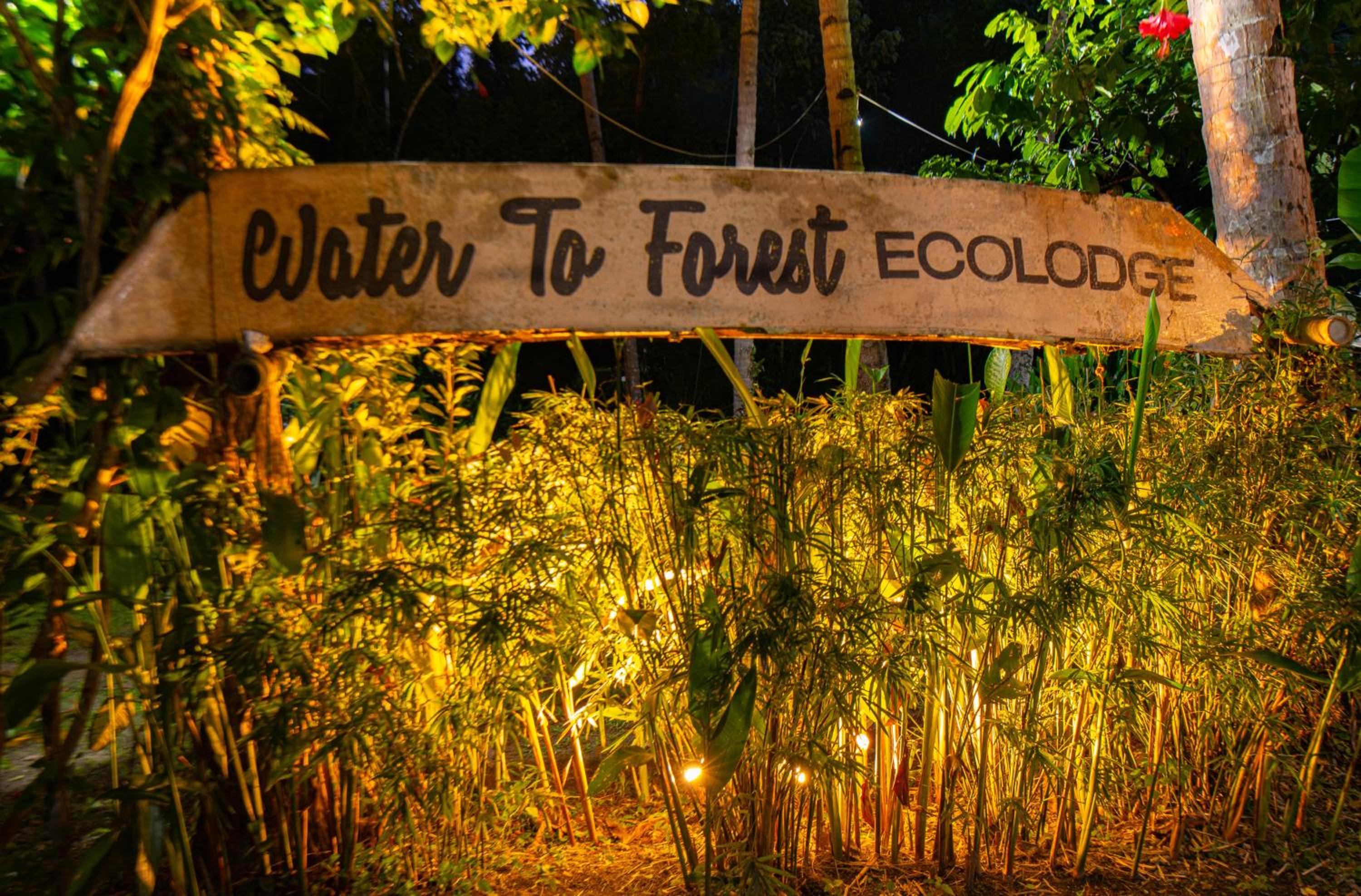 Water to Forest Ecolodge view 2