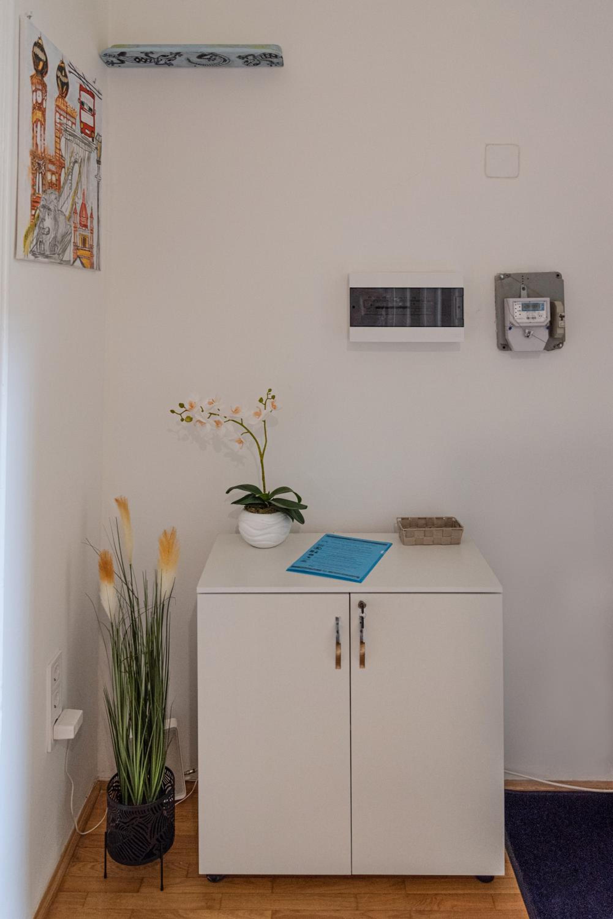 Viol ApARTment