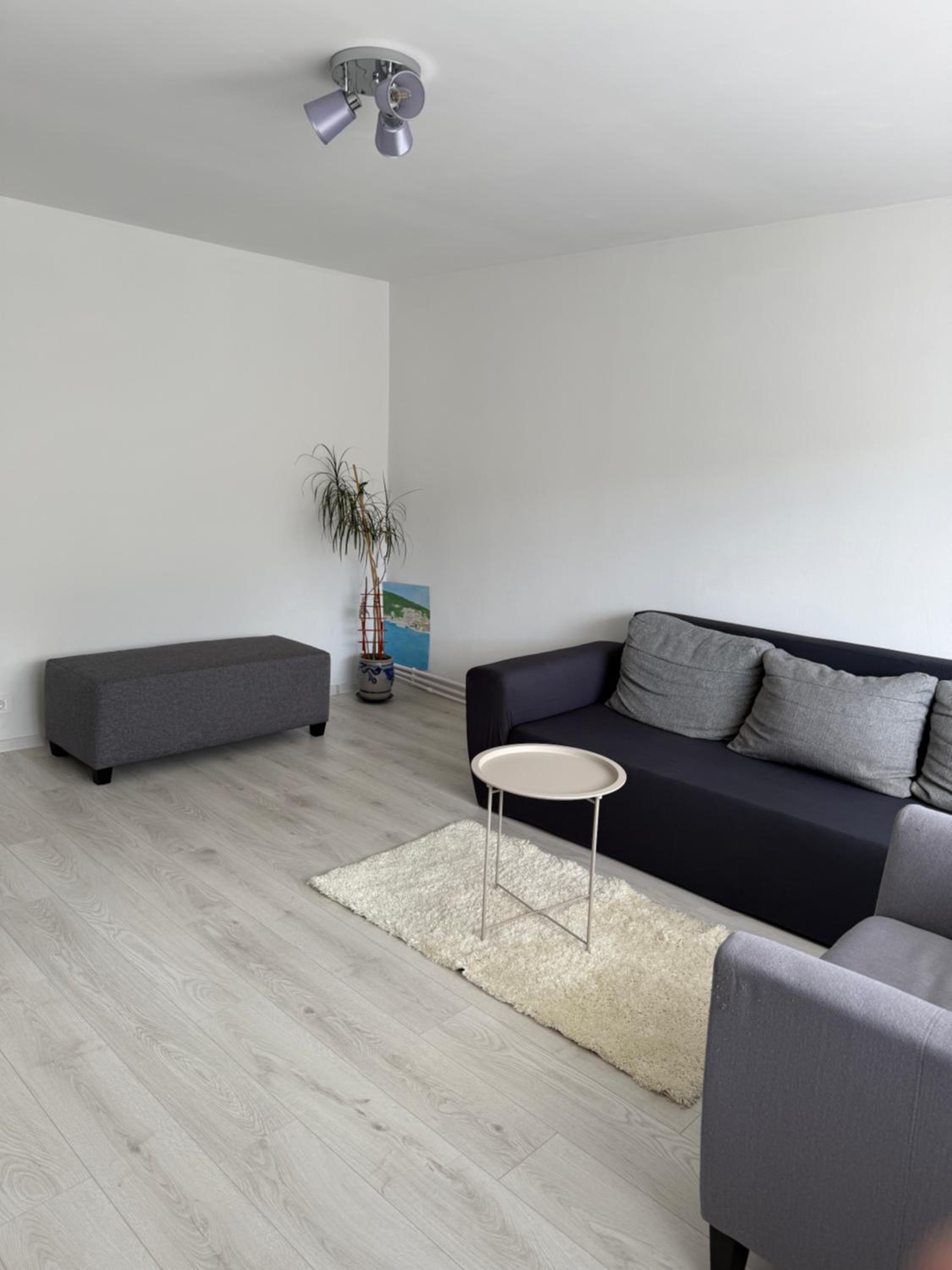 Apartament Sofi