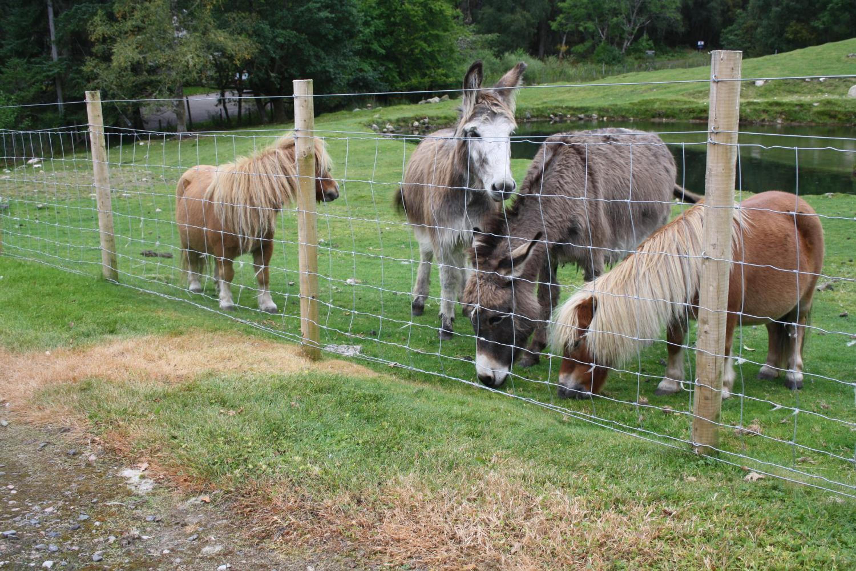 Ardgarry Farm