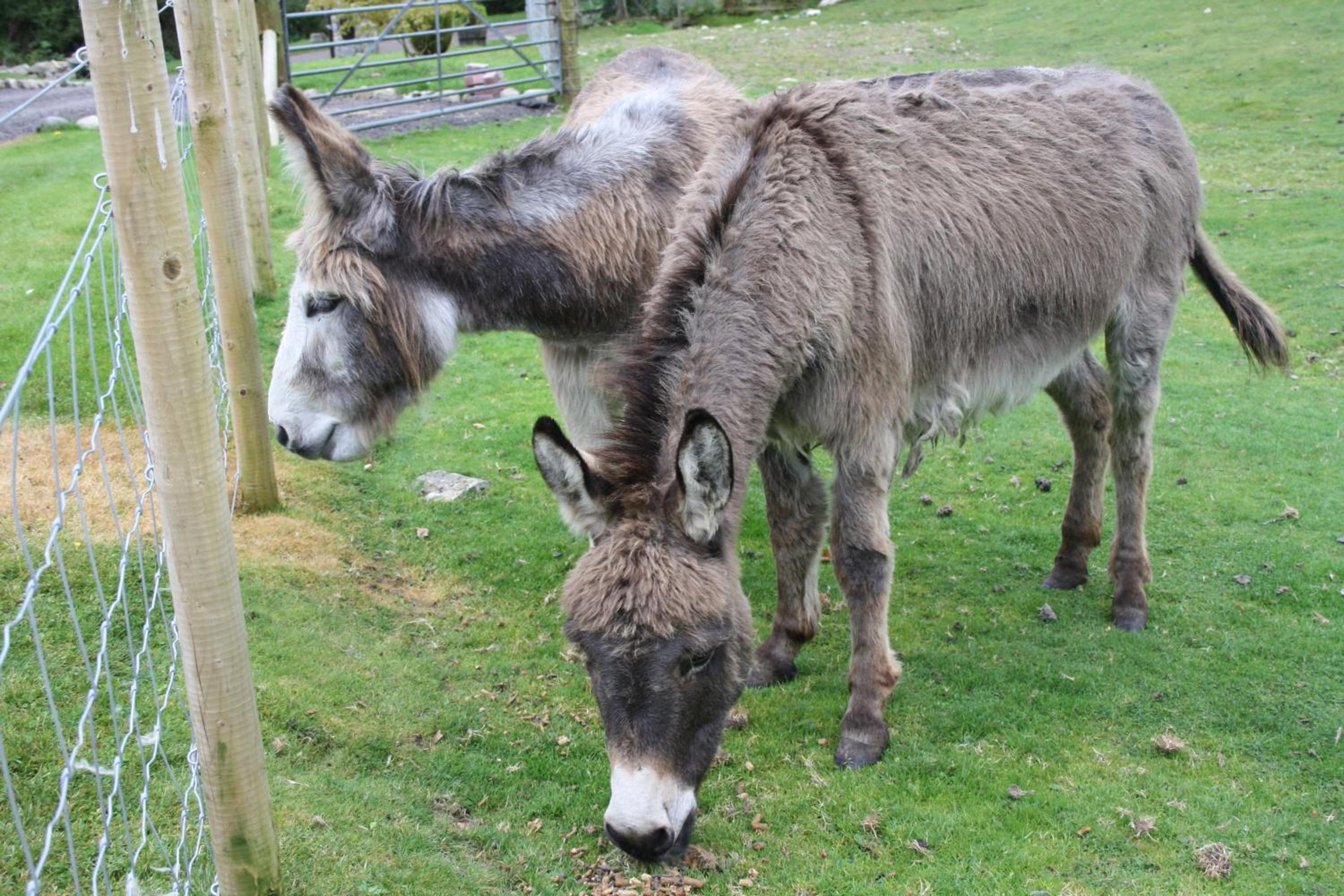 Ardgarry Farm