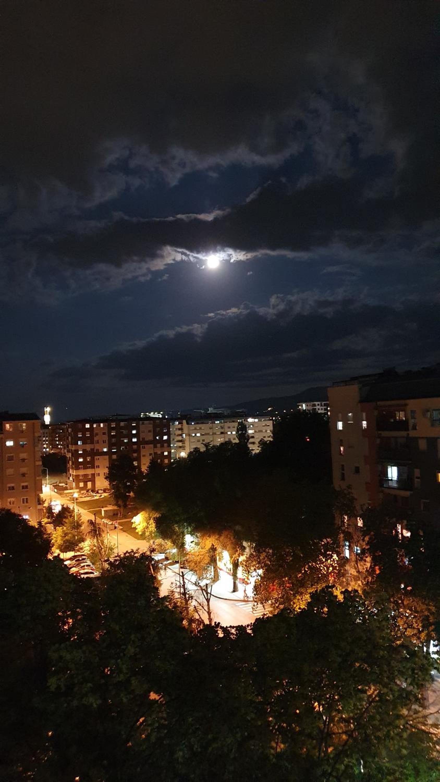 Chill City Oasis view 2