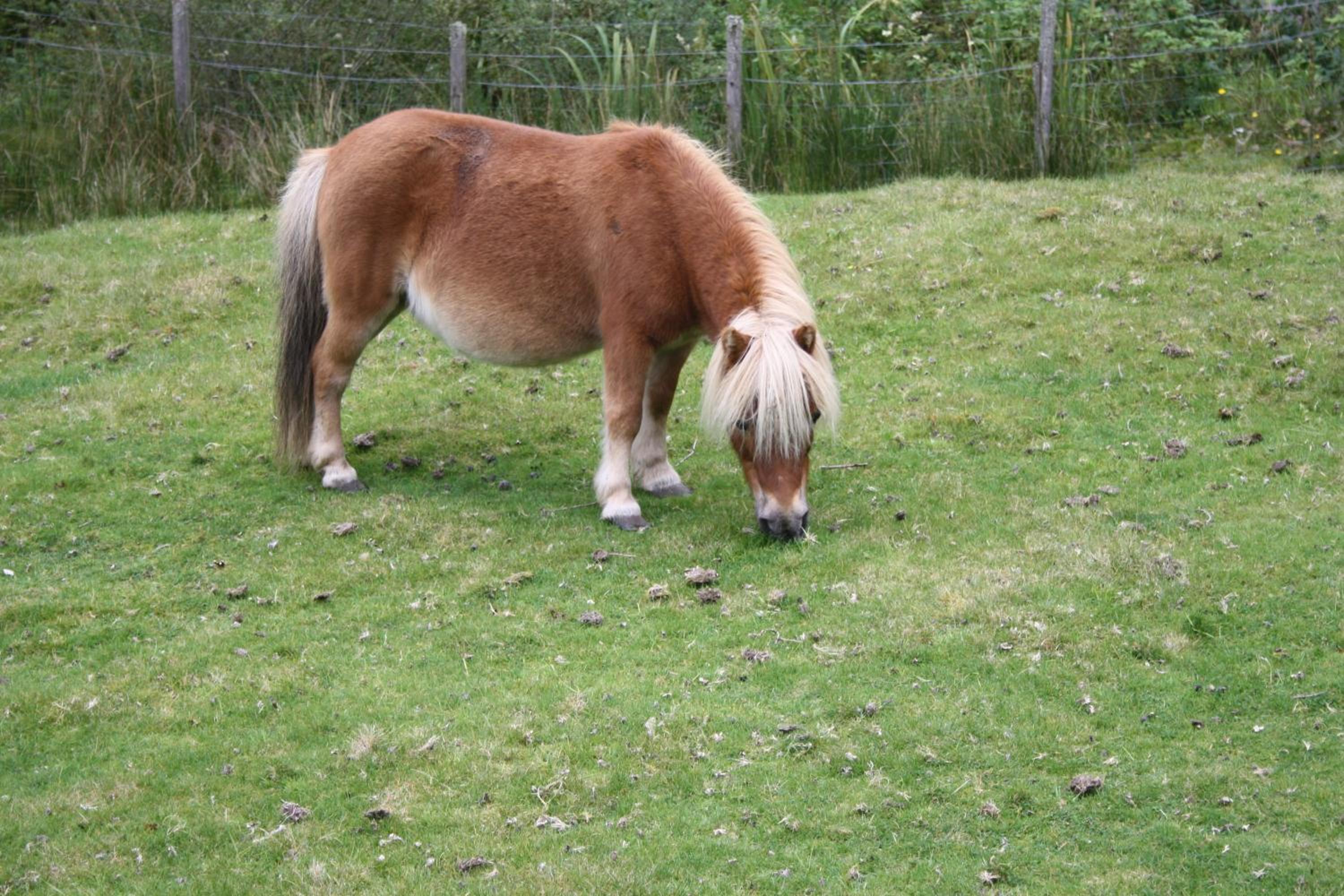 Ardgarry Farm