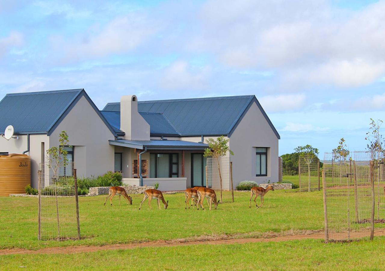 Hotel Olivewood Self-Catering Unit view 5