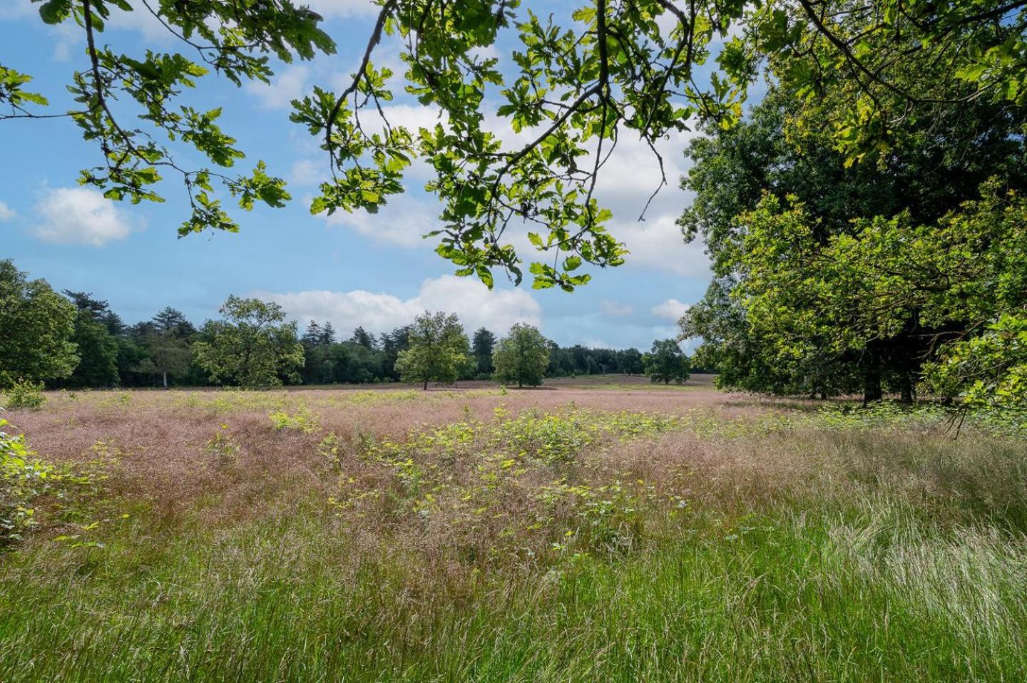 Landhuisje 31 'De Akkersteen' Bospark IJsselheide Zwolle Hattemerbroek