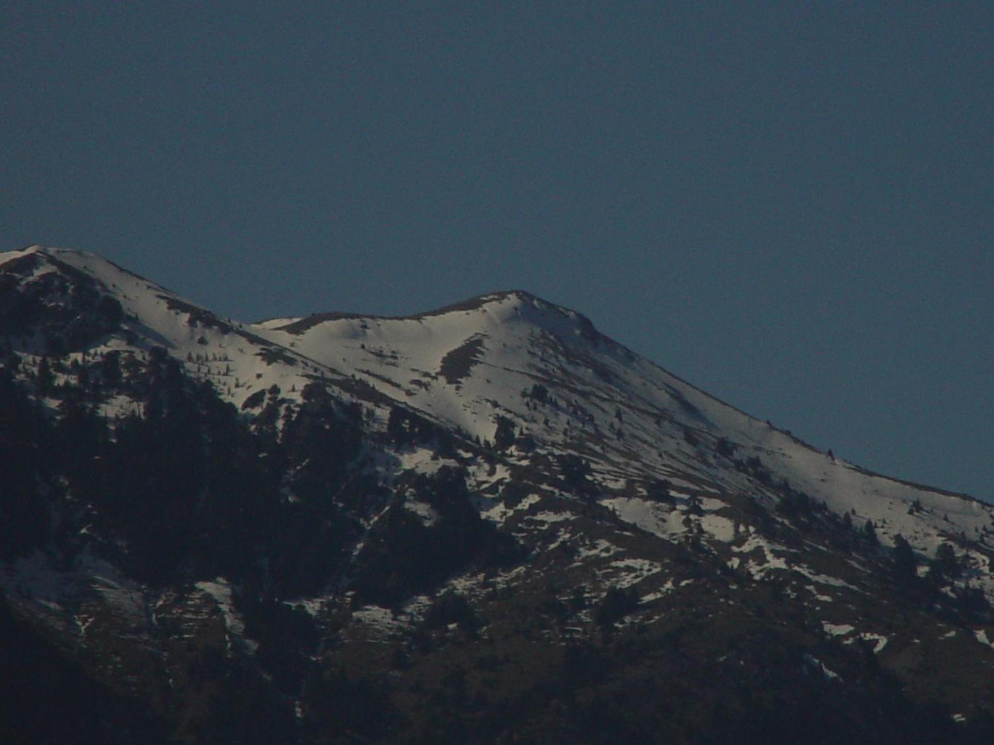 Photo 44