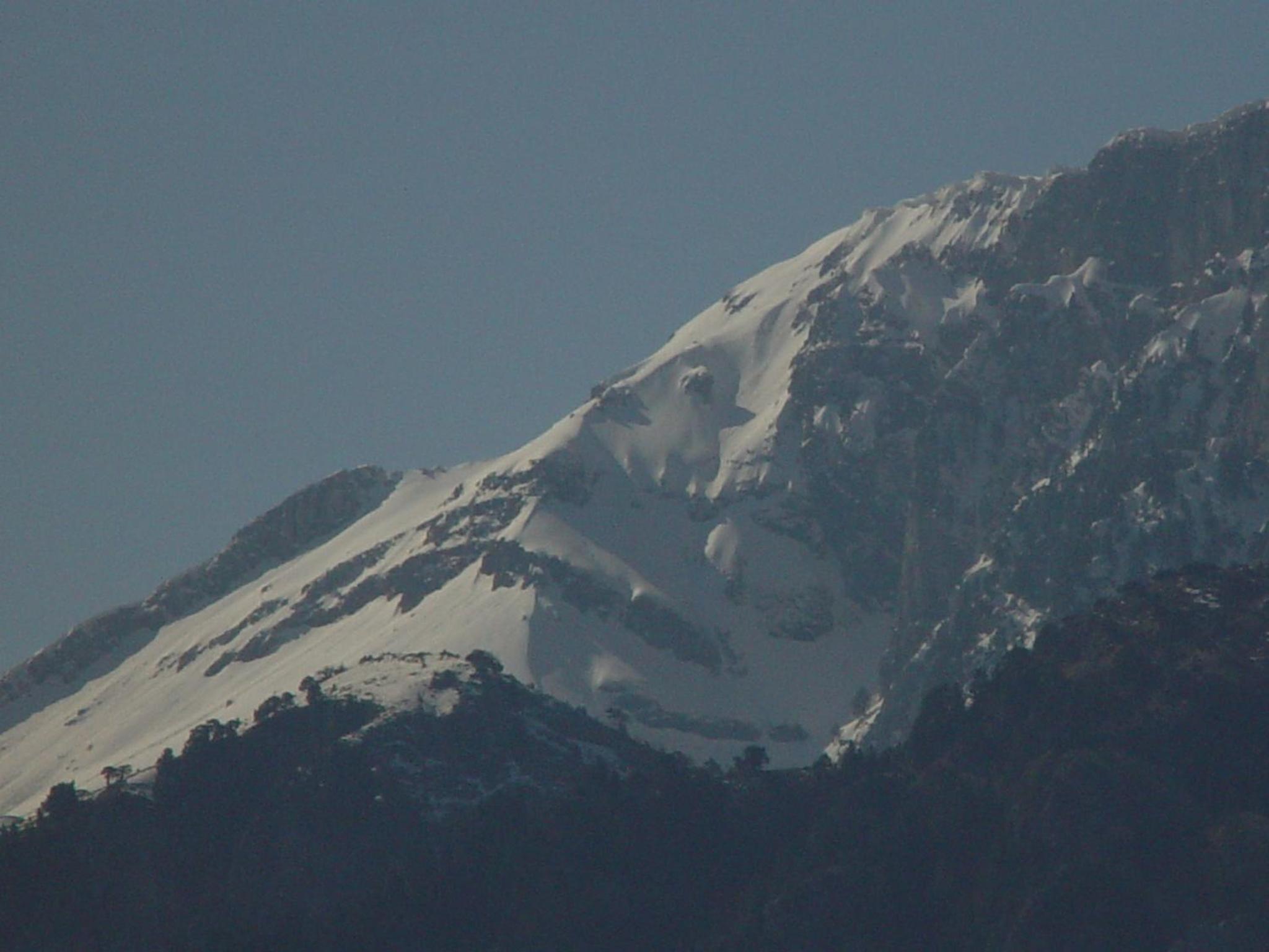 Photo 42