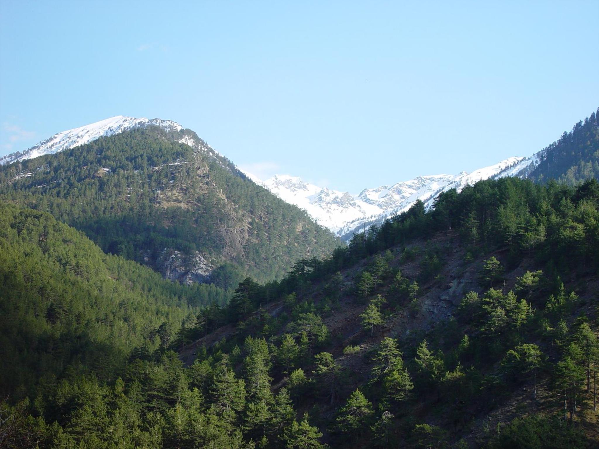 Photo 40