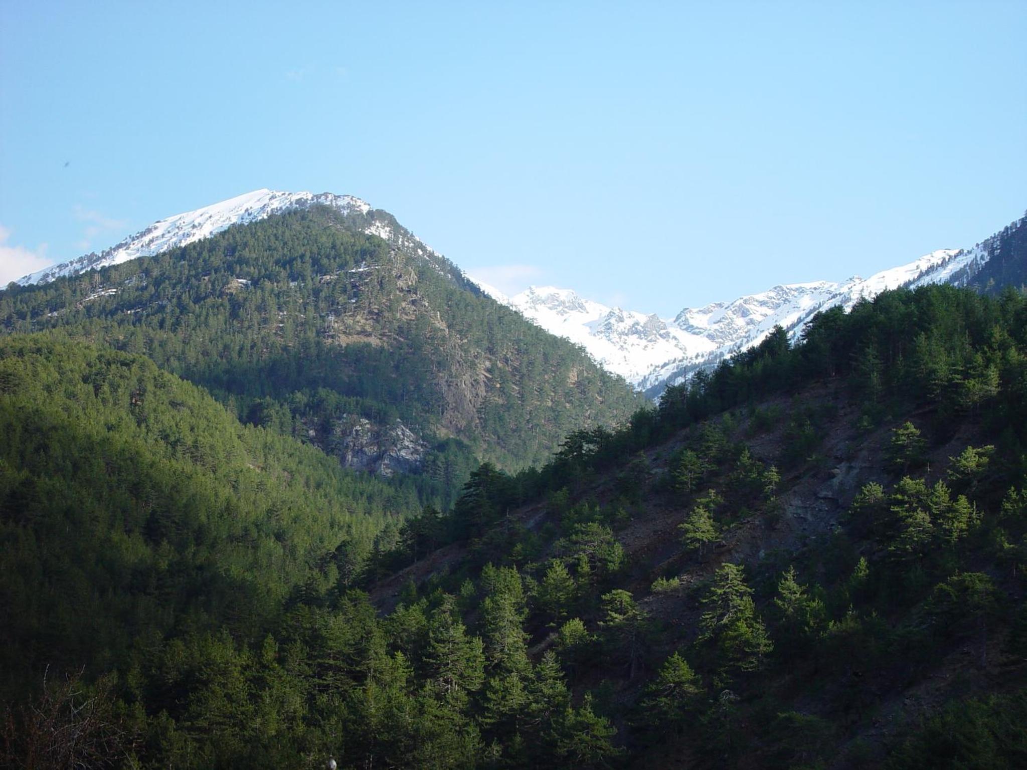 Photo 43