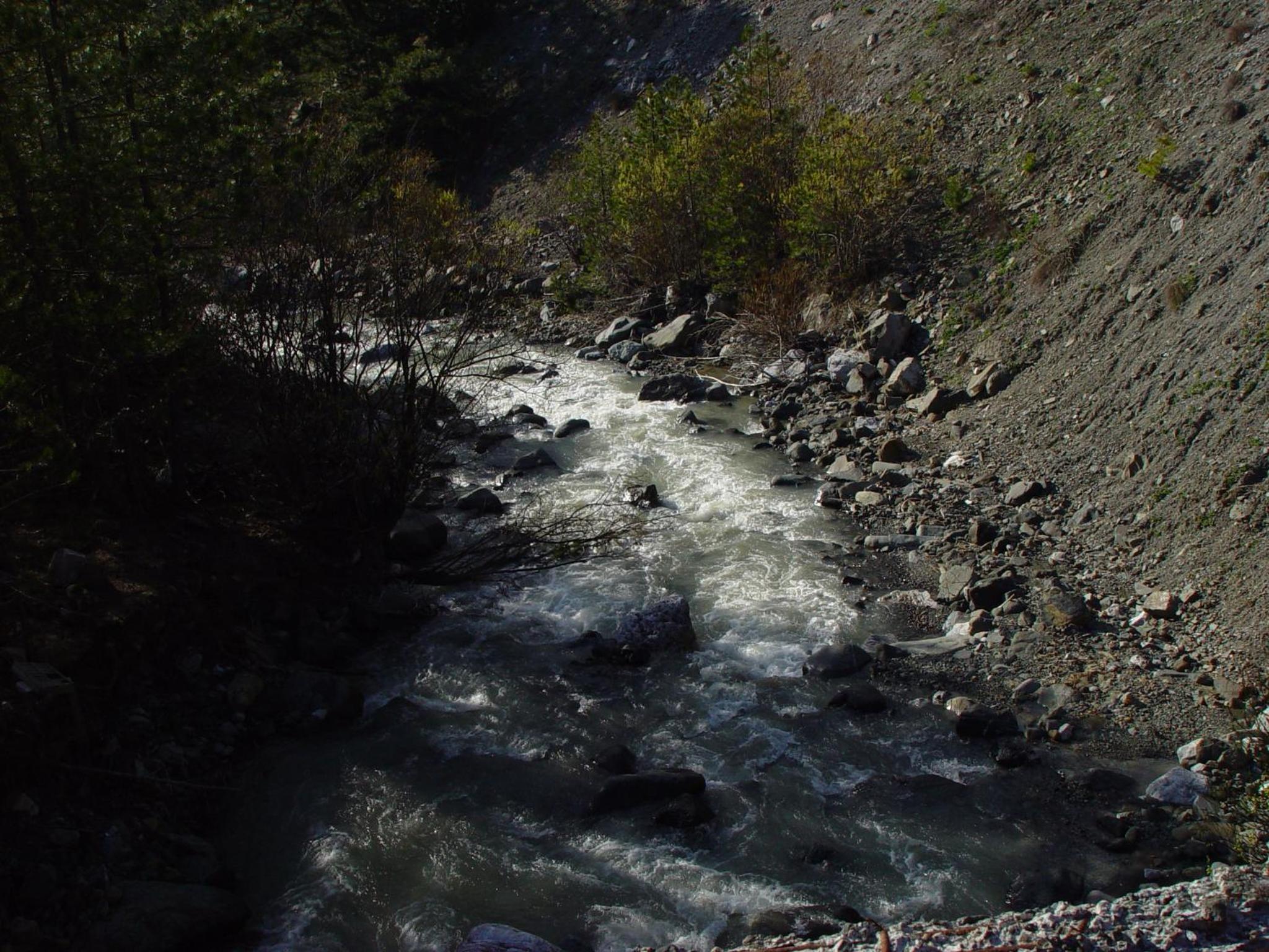 Photo 41
