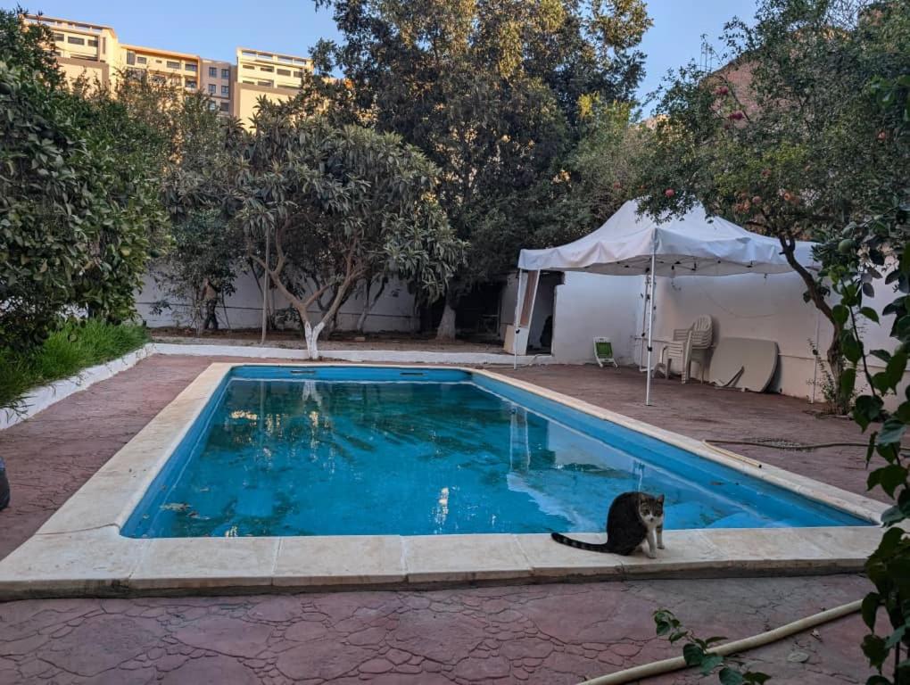 Cheraga vila piscine vacance