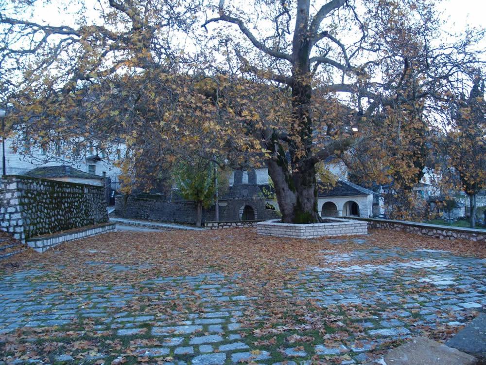 Photo 46