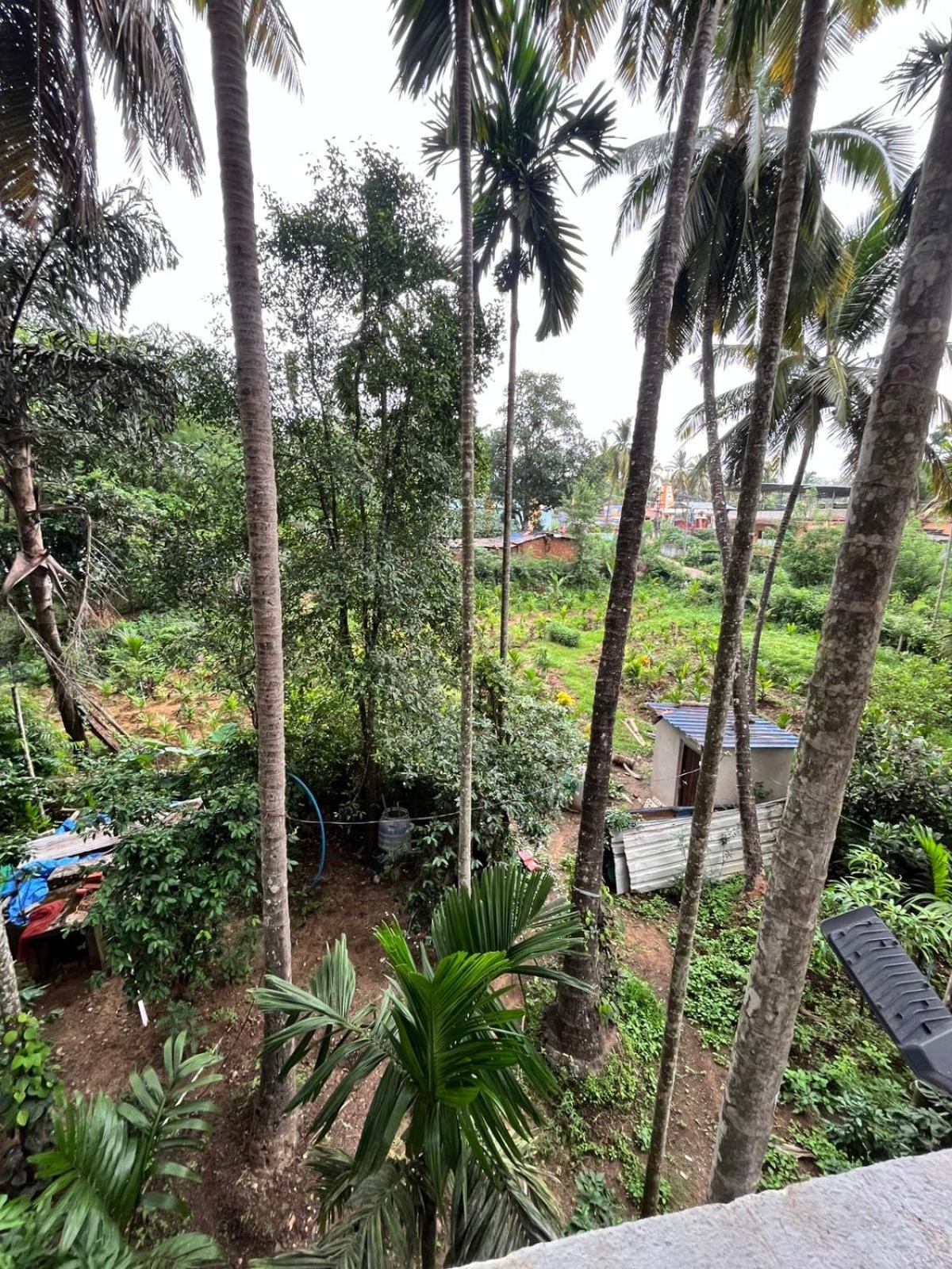 Dandeli River Nest - Dandeli view 2