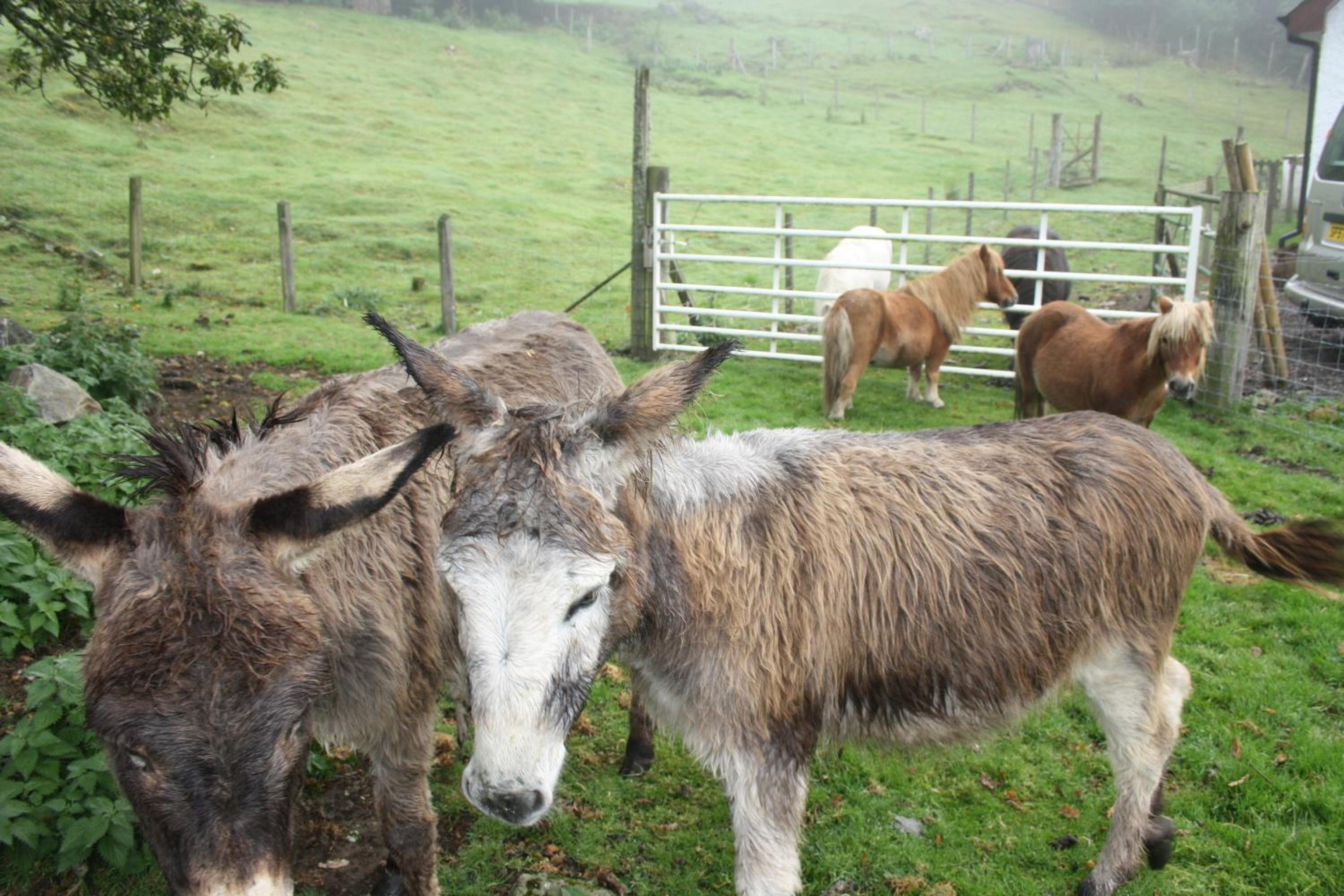 Ardgarry Farm