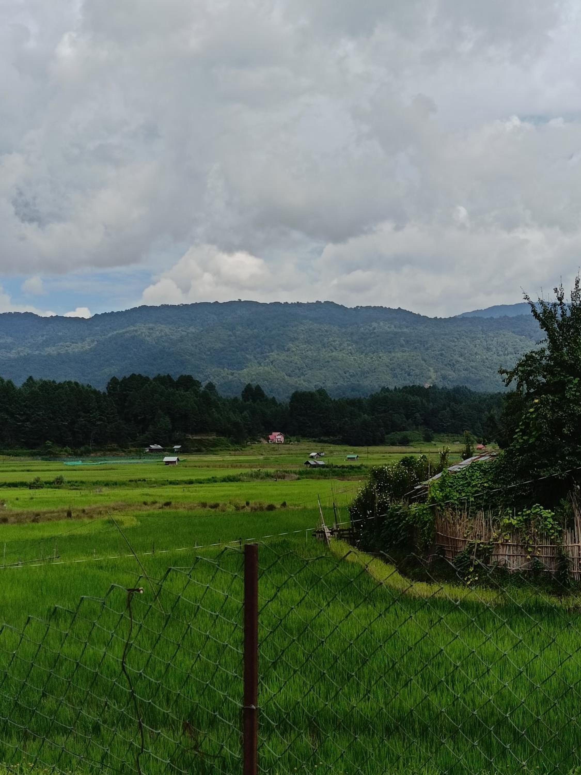 Bohang cottage