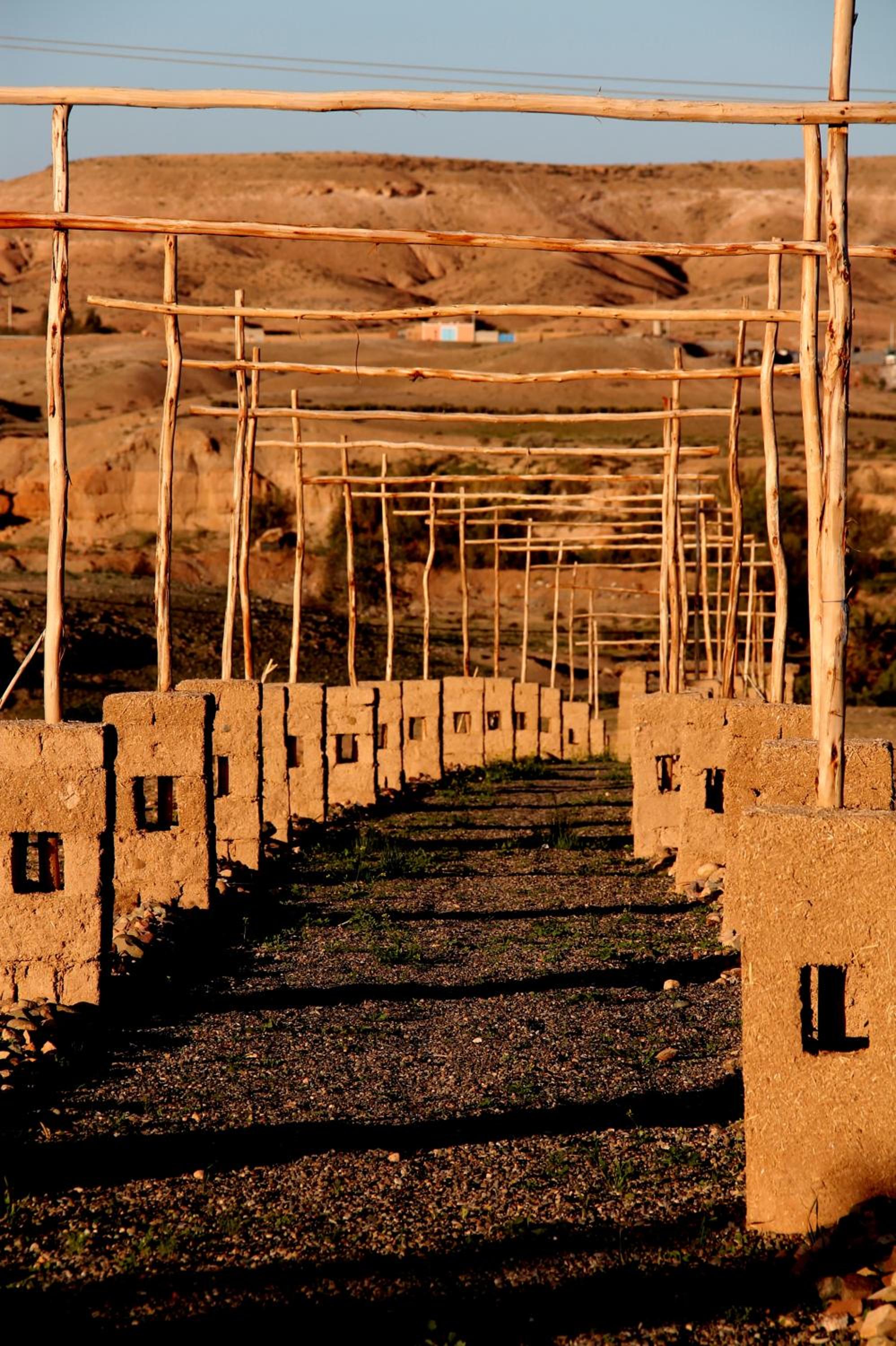 Ngayan Camp