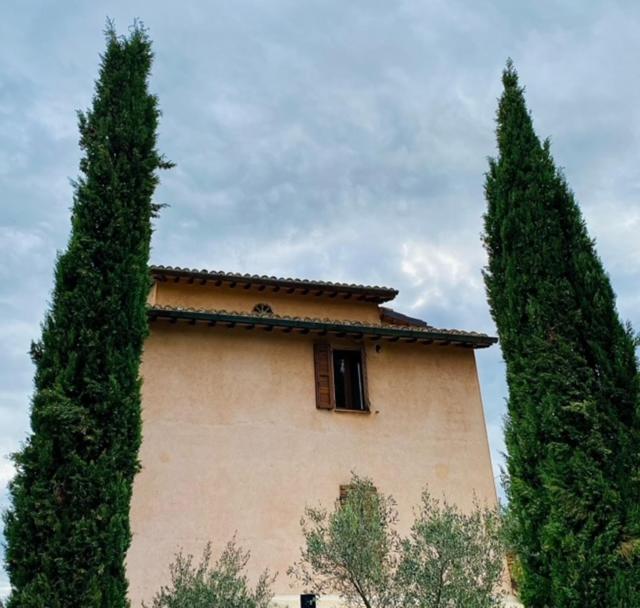 Chateaux de Pep view 2