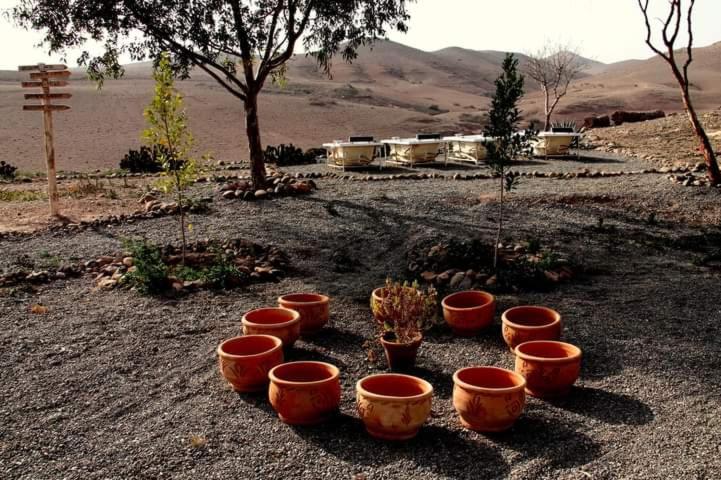 Ngayan Camp