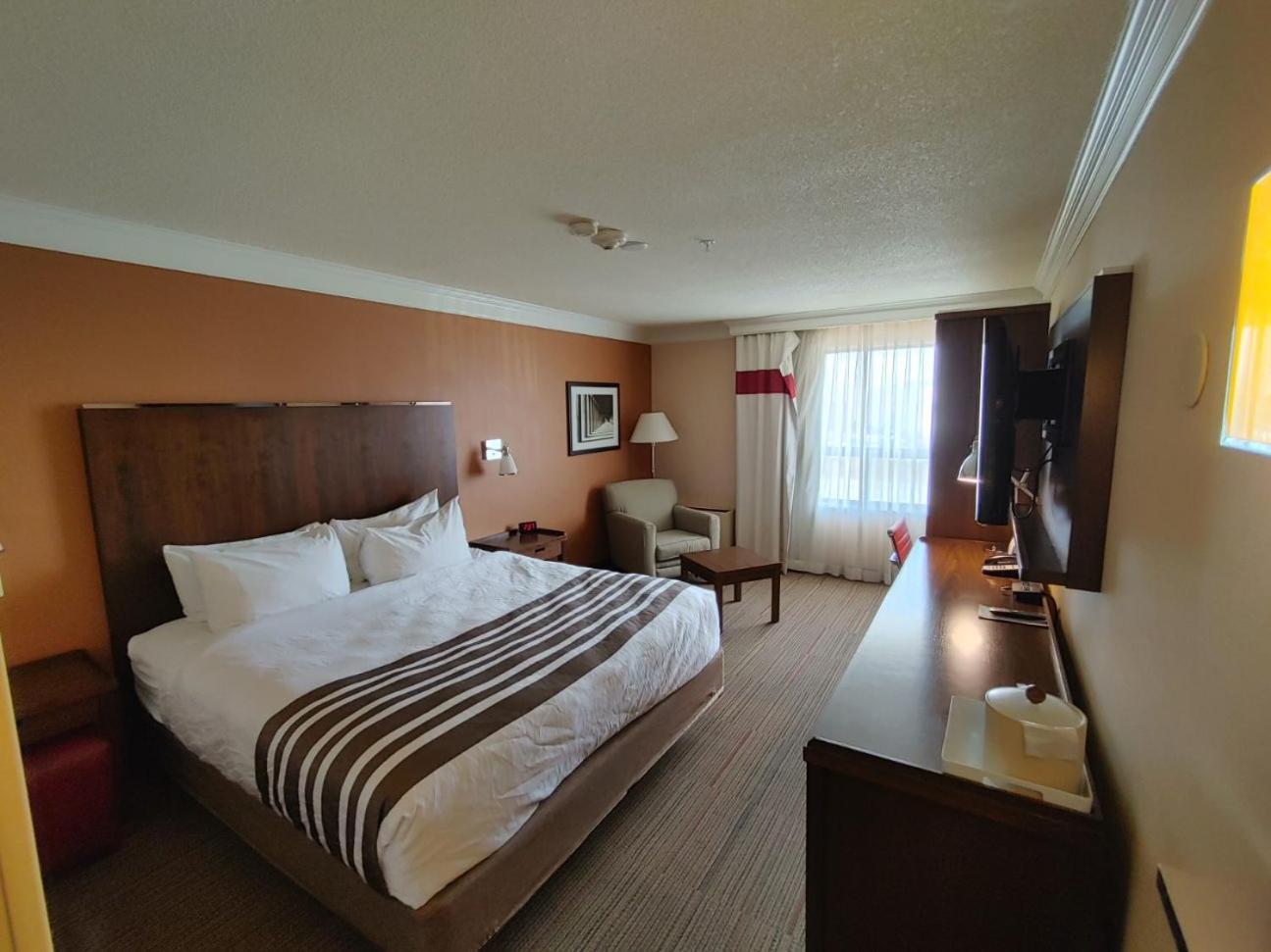 Waterloo Suites Hotel, Bilde 45