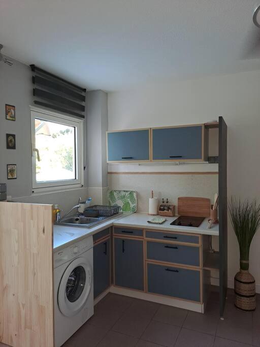 StudiOasis