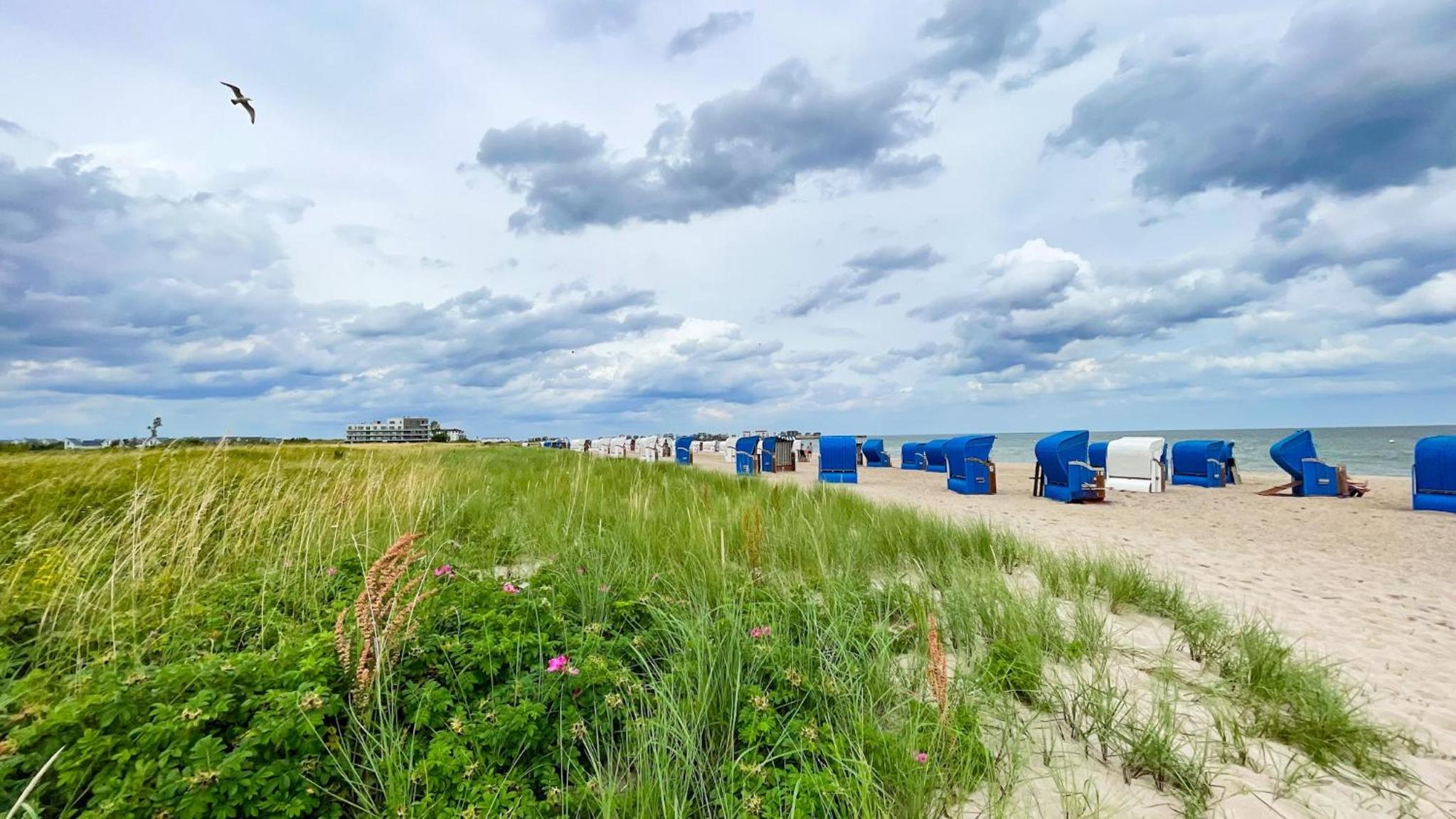 Ferienhaus Strandläufer Olpenitz