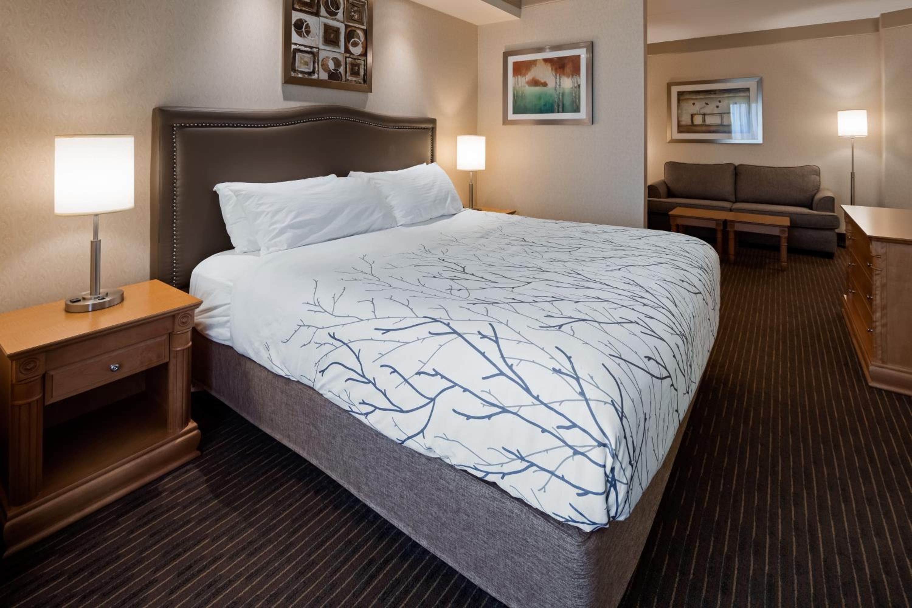Waterloo Suites Hotel, Bilde 55